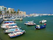 Bari, scoperte tracce di dinosauro risalenti a 100 milioni di anni fa