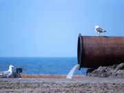 Reati ambientali nel 2022, alla Campania la “maglia nera”