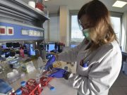 Telethon, raccolti 4 milioni 369 mila euro