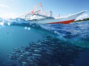 Pesca sostenibile: cresce la consapevolezza dei consumatori