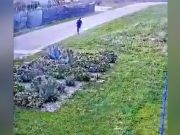 Mafia del Gargano, 19 condanne: ergastolo per il boss latitante