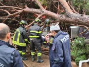 Montecatini, almeno sette persone ferite per il crollo di un pino