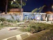 Belgio, una donna muore schiacciata da un albero