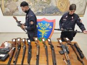 Novarese, uomo uccide 80 tra cervi e daini senza avere la licenza di caccia