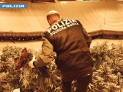 Niscemi, sequestrata una piantagione di Marijuana