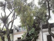 Argentina, allerta arancione in varie province