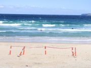 Australia, italiano aggredito da uno squalo