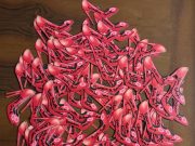 Sindacato Silced: un albero di Natale al Comune di Fossò nel ricordo di Giulia