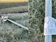 Fleximan arriva anche in Piemonte