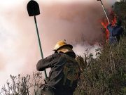 Emergenza incendi, la Colombia chiede aiuto