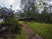 Usa, almeno 4 vittime a causa di tempeste e tornado