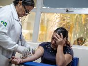 Dengue, 23 morti a Brasilia