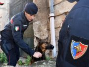 Palermo, sequestrati 25 kg di sostanze stupefacenti