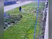 Arrestato Raduano, evaso dal carcere di Nuoro il 24 febbraio dello scorso anno