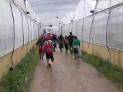 Casertano, braccianti agricoli picchiati e sfruttati nei campi