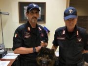 Firenze, muore il cane antidroga Battman