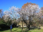 Meteo, in arrivo temperature più alte