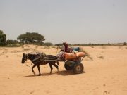 Libia, trovata una “fossa comune” con almeno 65 corpi