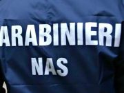 Sequestrate due tonnellate di uova e colombe