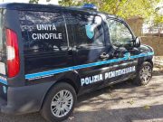 Blitz antidroga nel carcere di Oristano: trovate 70 dosi tra marijuana e hashish