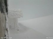 Veneto, 25 cm di neve sulle Prealpi vicentine