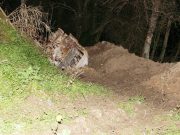 Vibo Valentia, due arresti per un caso di lupara bianca nel 2021