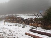 Sardegna, torna la neve in montagna