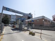 Latina, invasione di blatte all’ospedale Santa Maria Goretti