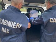 Padova, sequestrata carne con il virus della “peste suina”