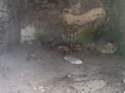 Aosta, donna trovata morta con un taglio al collo