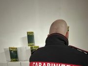 Caivano, sequestrato un carico di olio di 900 litri