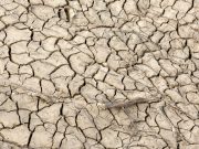 Messico, 8 municipi su 10 colpiti dalla siccità