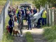 Eboli, bambino azzannato dai pitbull: il sindaco proclama il lutto cittadino