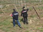 Piombino, 10 persone accusate di sfruttamento di lavoro