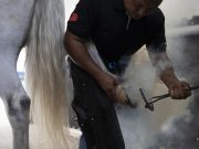 Crespina Lorenzana, 57enne muore in un centro ippico