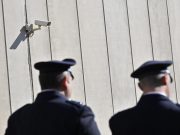 Pesaro, detenuto scappa da un centro fisioterapico ma poi viene arrestato