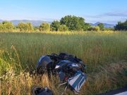 Arezzo, lupo investito da uno scooter