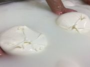 False mozzarelle di bufala, misure cautelari a tre imprenditori