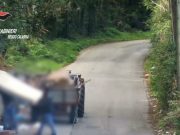 Scilla, 16 avvisi di garanzia per un’indagine di polizia ambientale