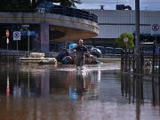 Brasile, 15 vittime per leptospirosi