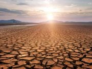 Calabria, sorgenti in calo del 50% per la siccità