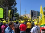 Cosenza, manifestazione di agricoltori per protestare contro i cinghiali