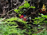 Natisone, proseguono le ricerche di Cristian