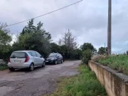 Nascose il corpo della mamma nel congelatore, condannato ad un anno e otto mesi