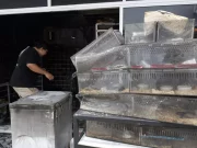 Bangkok, mille animali morti in un incendio