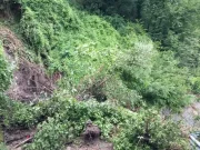 Reggiano, 42 strade danneggiate dai nubifragi