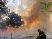 Vasto incendio nel Nuorese, 700 ettari in fumo
