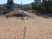 Crotone, ingegnere 47enne muore per paura di uno sciame di vespe