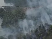 Vieste, disposta l’evacuazione di un residence con 1200 turisti per un vasto incendio