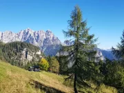 Pieve di Cadore, donna muore mentre scendeva lungo il Vallon del Frappa